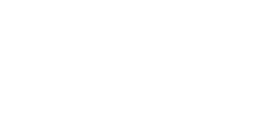 ORB Icon W
